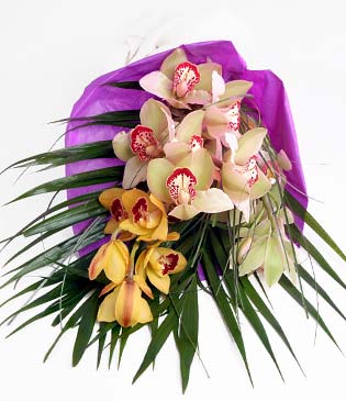  Gmhane online ieki , iek siparii  1 adet dal orkide buket halinde sunulmakta