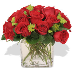  Gümüşhane online çiçek gönderme sipariş  10 adet kirmizi gül ve cam yada mika vazo