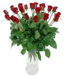  Gümüşhane online çiçek gönderme sipariş  11 adet kimizi gülün ihtisami cam yada mika vazo modeli