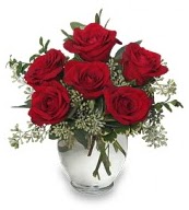 Vazo içerisinde 5 adet kırmızı gül  Gümüşhane anneler günü çiçek yolla 