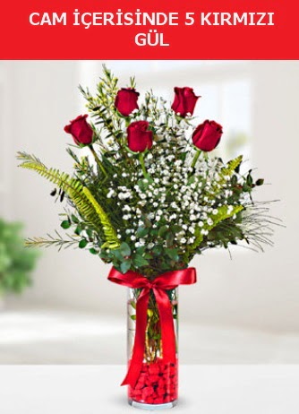 Cam içerisinde 5 adet kırmızı gül  Gümüşhane hediye sevgilime hediye çiçek 
