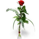  Gümüşhane online çiçek gönderme sipariş  1 adet kirmizi gül cam yada mika vazo içerisinde