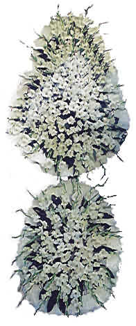  Gümüşhane çiçek yolla , çiçek gönder , çiçekçi   nikah , dügün , açilis çiçek modeli  Gümüşhane 14 şubat sevgililer günü çiçek 