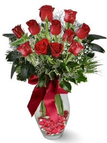 9 adet gül  Gümüşhane çiçek online çiçek siparişi  kirmizi gül