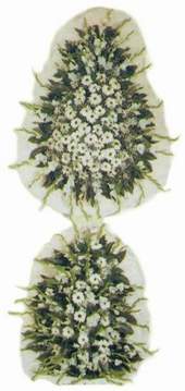  Gümüşhane çiçek servisi , çiçekçi adresleri  Model Sepetlerden Seçme 3