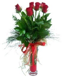 vazo içerisinde 5 kırmızı gül  Gümüşhane ucuz çiçek gönder 