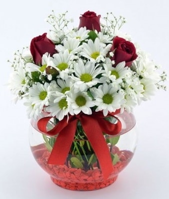 Fanusta 3 Gül ve Papatya  Gümüşhane çiçek online çiçek siparişi 