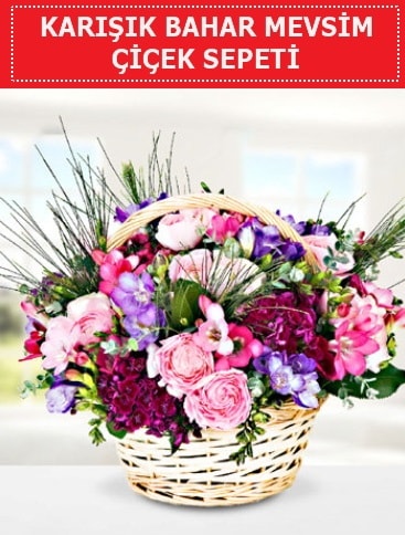 Karışık mevsim bahar çiçekleri  Gümüşhane uluslararası çiçek gönderme 
